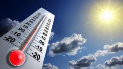 Plan canicule